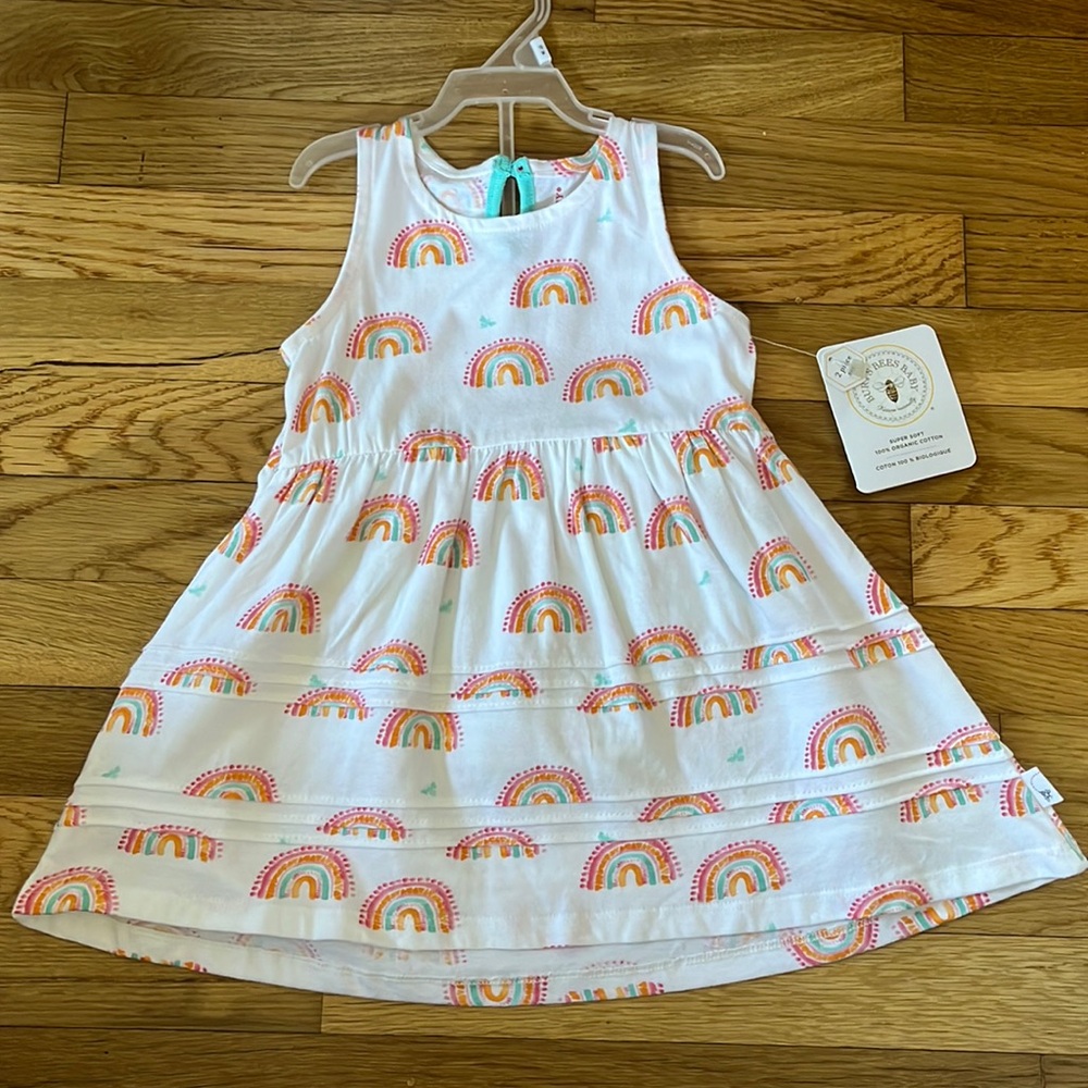 Rainbow Burts Bees Baby Dress